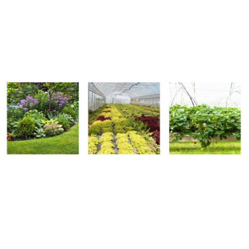 картинка Насос мембранно-поршневой Comet серия МР30 (29,2 л/мин; 30 бар) с эл. двигателем MEC90 (380В) фото 4 картинка Насос мембранно-поршневой Comet серия МР30 (29,2 л/мин; 30 бар) с эл. двигателем MEC90 (380В) фото 4