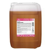 фото Средство для чистки коптильных камер Prosept Cooky Smoke 20л