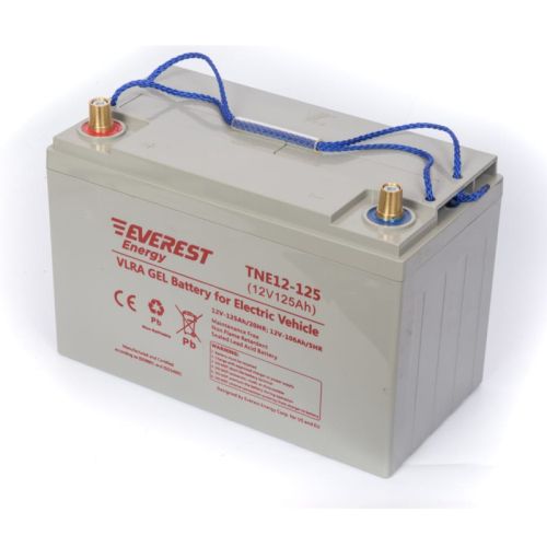 фото Гелевая батарея Everest Energy TNE 12-125 фото 2 Гелевая батарея Everest Energy TNE 12-125 фото 2
